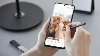 Photo of Il video è il cinema e la fotografia è arte con il nuovo Samsung Galaxy S21 5G: perché scommettere per le loro telecamere