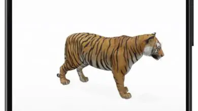Photo of Animali 3D di Google: come registrarli mentre li vedi