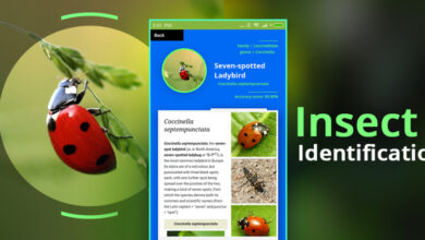 Photo of Le 4 app per identificare gli insetti più consigliati