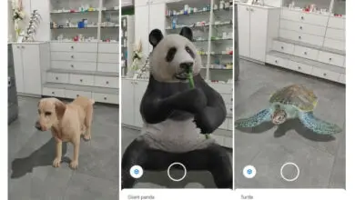 Photo of Come vedere gli animali 3D con la tua realtà mobile e aumentata