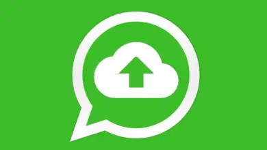Photo of Backup su WhatsApp: problemi e soluzioni più comuni