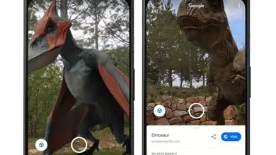 Photo of Dinosauri 3D di Google: così puoi vederli sul tuo cellulare