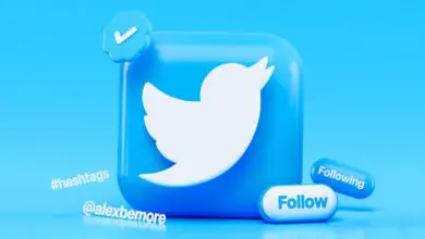 Photo of Twitter Blue: Cos’è e cosa includerà il twitter di pagamento rumoroso
