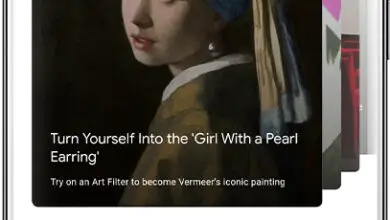 Photo of Converti la tua faccia in un’opera d’arte con questa fantastica app Google