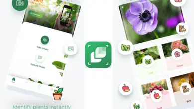 Photo of 7 buone app per identificare le piante medicinali con il cellulare