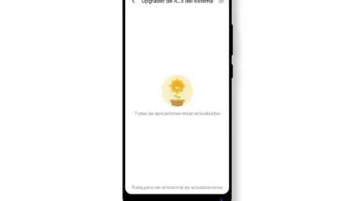 Photo of Come cambiare la dimensione delle icone nel tuo Xiaomi