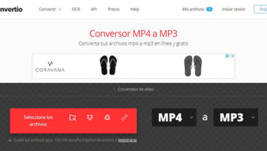 Photo of Come scaricare Audio o Musica dai video di Tiktok in MP3
