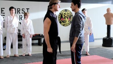 Photo of I migliori 13 serie di combattimenti e arti marziali di Netflix e HBO
