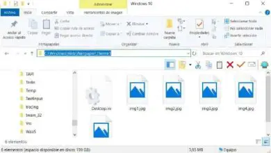 Photo of Come visualizzare o copiare il percorso completo di una cartella e un file in Windows 10