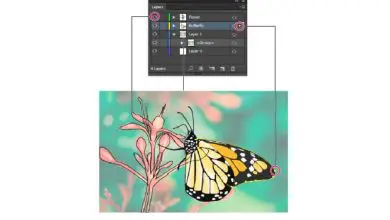 Photo of Come usare il pannello dei livelli | Crea o elimina livelli e sottolivelli in Adobe Illustrator