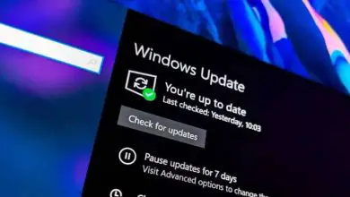 Photo of Come scoprire facilmente quanto pesano gli aggiornamenti di Windows 10