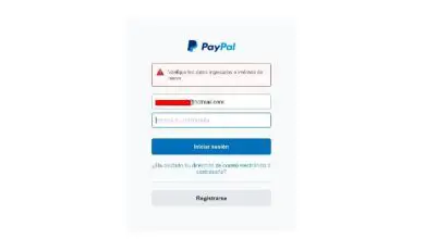 Photo of Come recuperare l’account Paypal se ho dimenticato la password? – Veloce e facile