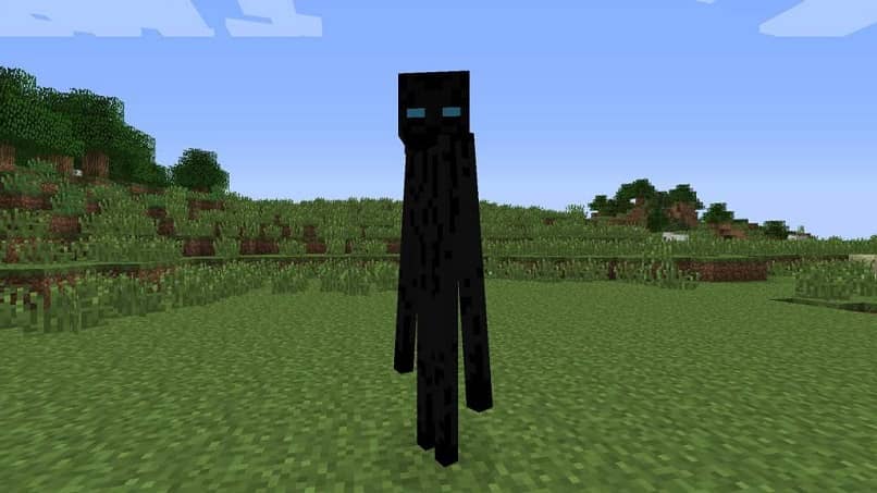 Paesaggio di Enderman