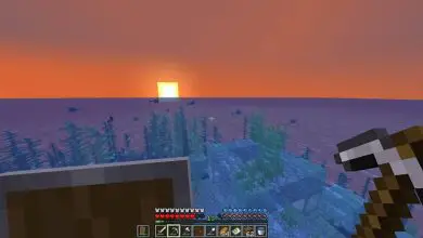 Photo of Come trovare oceani e templi negli oceani in Minecraft