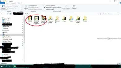 Photo of Come risolvere il problema dello sfondo nero nelle icone in Windows 10