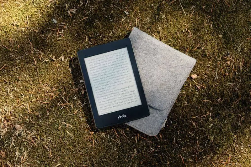Kindle sull'erba