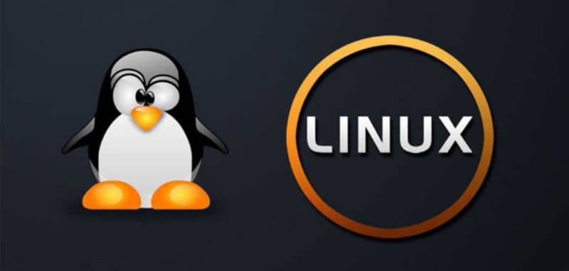 Linux, pinguino