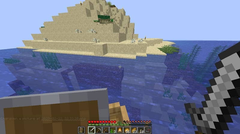 Bioma oceanico in Minecraft