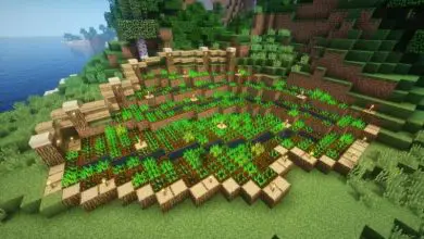 Photo of Quali cose posso coltivare in un giardino di Minecraft?