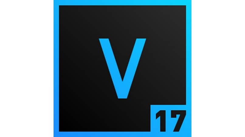 lettera V blu nero numero 17