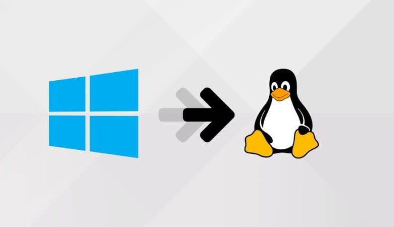Sfondo bianco loghi Linux e Windows