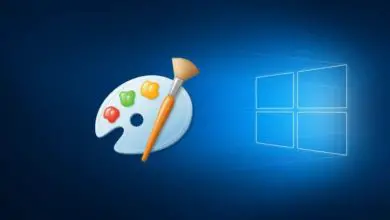 Photo of Come creare icone per personalizzare le mie cartelle in Windows 10?