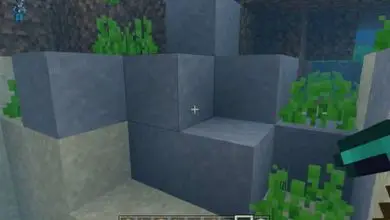 Photo of Come trovare e indurire l’argilla in Minecraft per creare blocchi di argilla?
