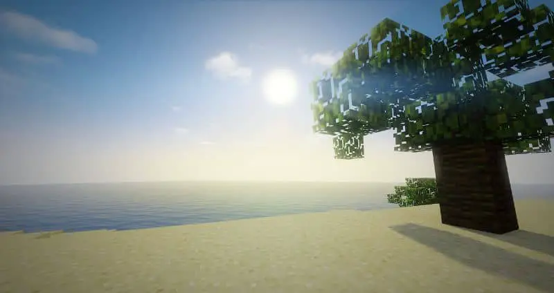 Spiaggia di Minecraft