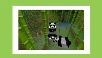 Photo of Dove e come trovare il bambù in Minecraft e a cosa serve? – Usi del bambù