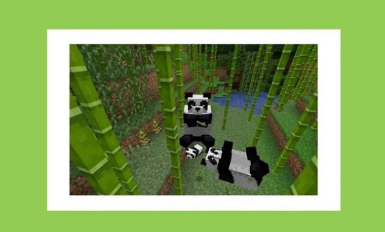Panda in un habitat di bambù in Minecraft