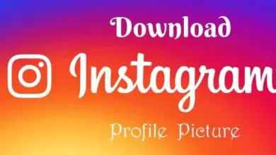 Photo of Come visualizzare una grande foto del profilo Instagram – Molto facile