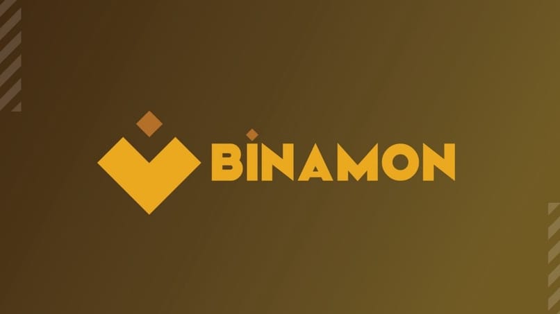 logo binamon