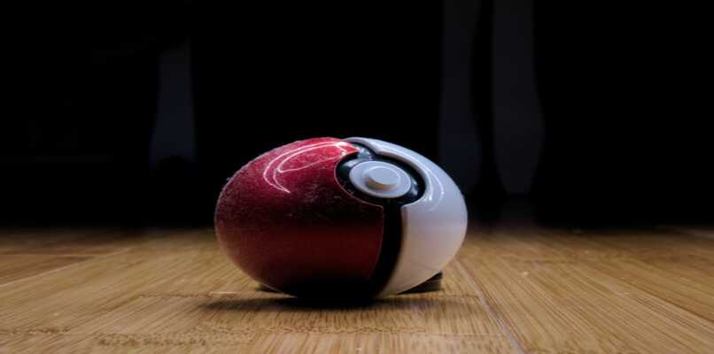 pokeball e polvere per terra