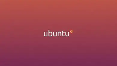Photo of Come cercare file in Ubuntu Linux con il comando Trova e trova?