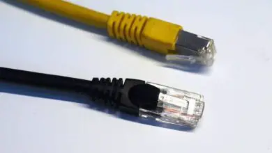Photo of Come faccio a sapere che tipo di categoria di cavo Ethernet dovrei usare per PC?