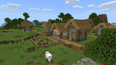 Photo of Come creare un municipio piccolo e facile in Minecraft?
