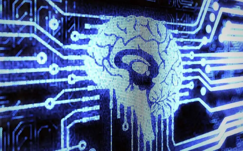 circuito del cervello del computer