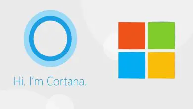 Photo of Perché Cortana non ti consente di scriverne e come risolverlo in Windows 10?