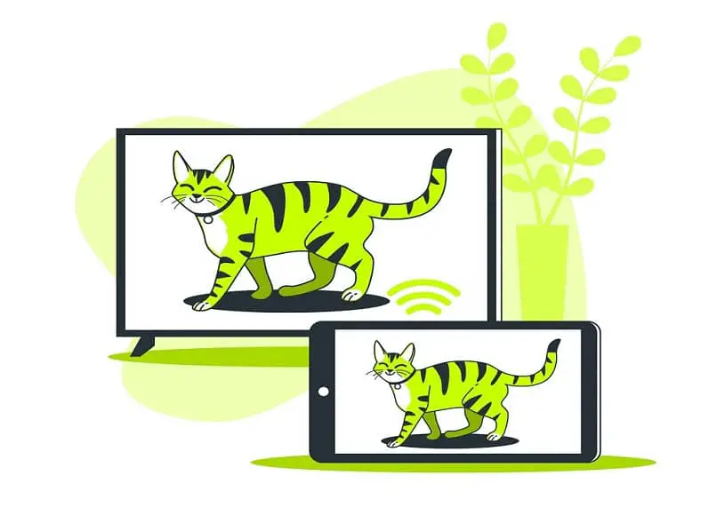 due schermi per gatti verdi