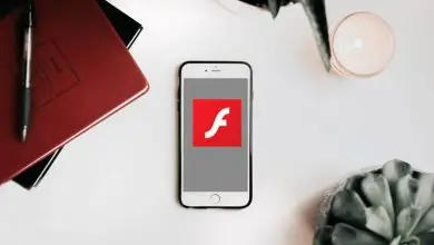 Photo of Come salvare facilmente un file Flash come PDF