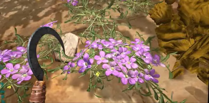 piante viola seta dell'arca