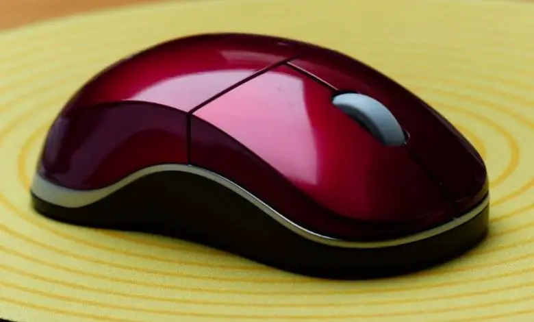 Mouse per PC