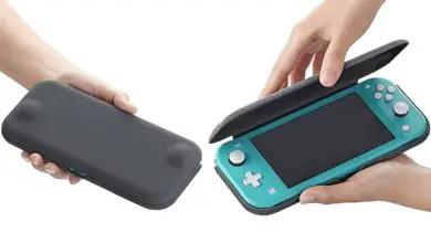 Photo of Come giocare a Nintendo Switch Lite in acqua usando una custodia robusta