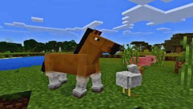 Photo of Come riprodurre o accoppiare cavalli e asini in Minecraft