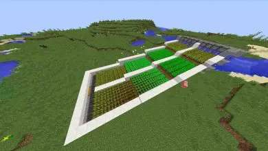 Photo of Come creare un giardino automatico in Minecraft? – Colture automatiche