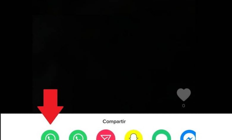 Video WhatsApp TiK ToK