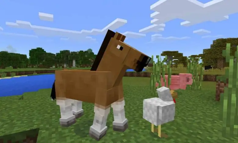 Cavallo Pollo e Maiale Minecraft
