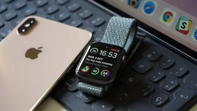 Photo of Come acquisire o acquisire uno screenshot su Apple Watch – Molto facile