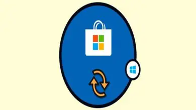 Photo of Come posso reinstallare facilmente lo Store o Microsoft Store in Windows 10?
