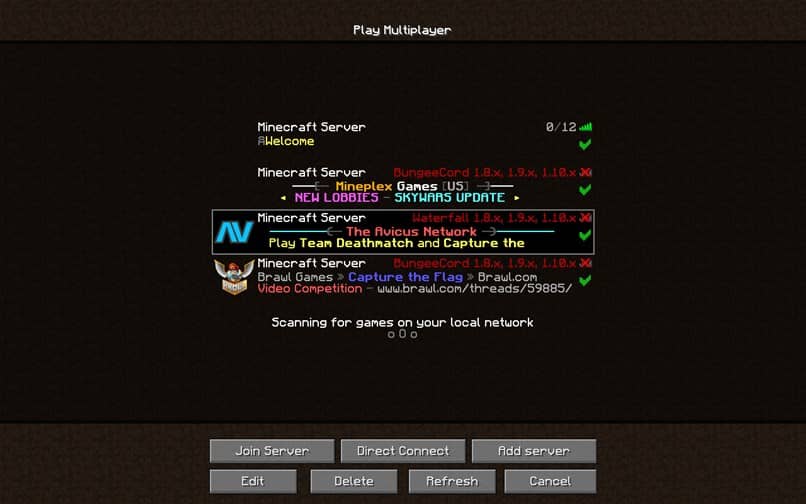 processo del server minecraft